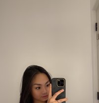 Spicy Little Jackie(camshow and meet up) - Transsexual escort in Manila