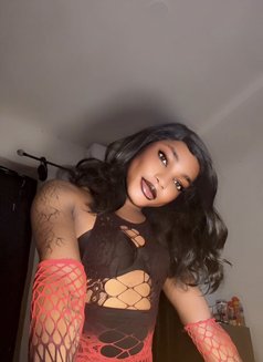 Spicy M - Transsexual escort in Lagos, Nigeria Photo 9 of 9