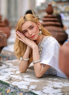 Spicy Mikan - Transsexual escort in Singapore Photo 26 of 26