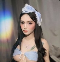 Spicy Mikan - Transsexual escort in Hong Kong