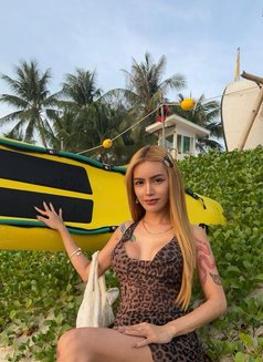 Spicy Mikan - Transsexual escort in Phuket Photo 26 of 28