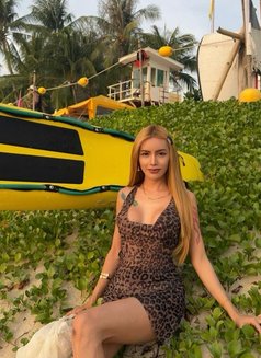 Spicy Mikan - Transsexual escort in Phuket Photo 27 of 28