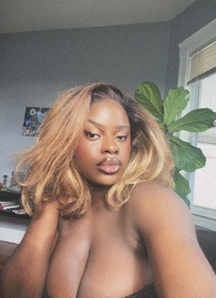 Spicy Nomie - escort in Dubai Photo 2 of 7