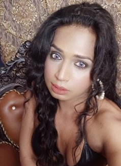 Spicy Puja - Acompañantes transexual in Bangalore Photo 5 of 18