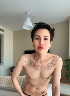 SpicyPlayMate - Male escort in Dubai Photo 3 of 16