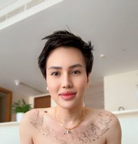 SpicyPlayMate - Male escort in Dubai
