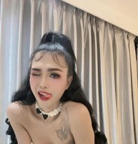 SPY&VVIP🇹🇭 - Transsexual escort in Nakhon Ratchasima