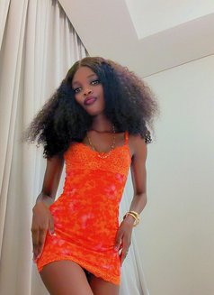 Squirt bella. - puta in Dubai Photo 17 of 18