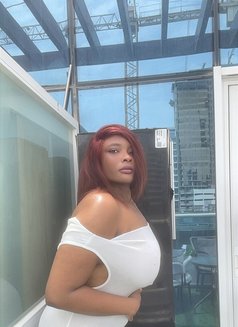 Squirting booty layla - escort in Dubai Photo 9 of 13