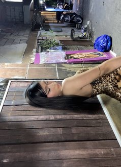 Stacey - Acompañantes transexual in Manila Photo 16 of 16