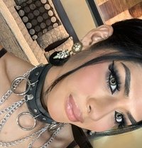 Your favorite asian girl - Acompañantes transexual in Manila