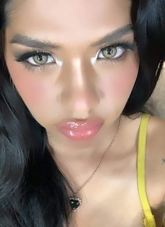 Your favorite asian girl - Transsexual escort in Manila Photo 2 of 8