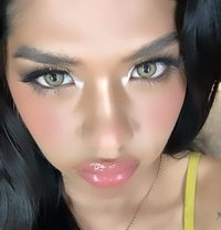 Your favorite asian girl - Acompañantes transexual in Manila