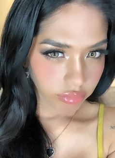 Your favorite asian girl - Transsexual escort in Manila Photo 4 of 8