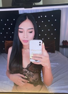 STACEY FOR CAM SHOWS - Transsexual escort in Manila Photo 2 of 7
