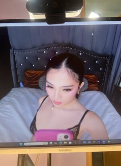 STACEY FOR CAM SHOWS - Transsexual escort in Manila Photo 5 of 7