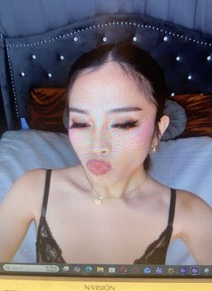 STACEY FOR CAM SHOWS - Transsexual escort in Manila Photo 6 of 7