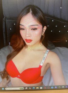 STACEY FOR CAM SHOWS - Transsexual escort in Manila Photo 7 of 7