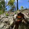 Stacey VIP ESCORT in Westlands (video) - escort in Nairobi Photo 4 of 4