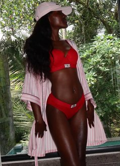 Staceyy - puta in Dubai Photo 3 of 3