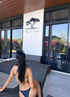 Stacia Hot - escort in Angeles City Photo 19 of 19