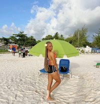 Stacy - puta in Barbados