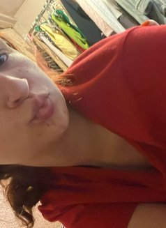 Stacy - escort in Amman Photo 3 of 3