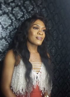 Stacy - Transsexual escort in Accra Photo 3 of 4