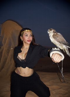 Stacy Horny Model - Transsexual escort in Dubai Photo 6 of 8