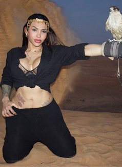 Stacy Horny Model - Transsexual escort in Dubai Photo 7 of 8