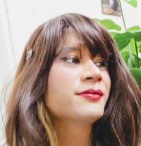 Stacy - Transsexual escort in Shillong