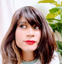 Stacy - Transsexual escort in Shillong