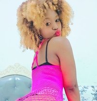 Stacy queen khobar - escort in Khobar