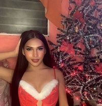 Stacy the Big Cock - Transsexual escort in Cebu City