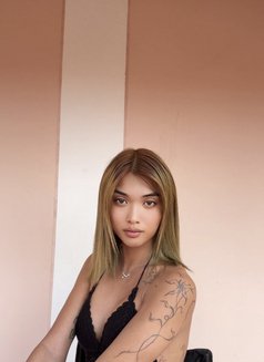 Stang🇹🇭 - Transsexual escort in Abu Dhabi Photo 1 of 7