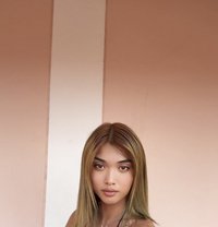 Stang🇹🇭 - Transsexual escort in Abu Dhabi