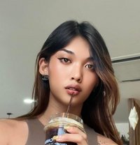 Stang🇹🇭 - Transsexual escort in Abu Dhabi