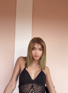 Stang🇹🇭 - Transsexual escort in Abu Dhabi Photo 3 of 7