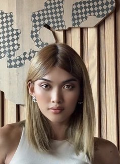 Stang🇹🇭 - Transsexual escort in Abu Dhabi Photo 5 of 7