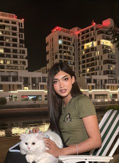 Stang🇹🇭 - Transsexual escort in Abu Dhabi Photo 3 of 8