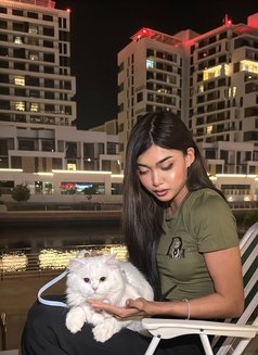 Stang🇹🇭 - Transsexual escort in Abu Dhabi Photo 6 of 8