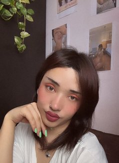 Stany famboy + ladyboy - Acompañantes transexual in Bangalore Photo 29 of 30