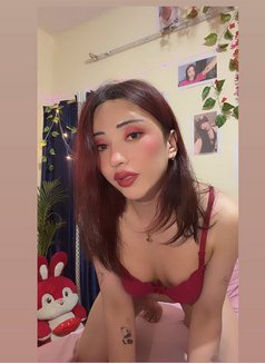 Stany famboy + ladyboy - Acompañantes transexual in Bangalore Photo 25 of 30