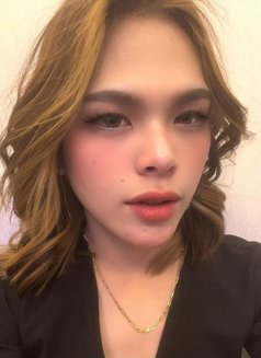 Star - Transsexual escort in Al Ain Photo 7 of 15