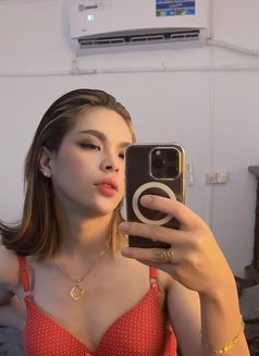 Star - Transsexual escort in Al Ain Photo 14 of 15