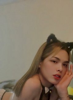 Star - Acompañantes transexual in Al Ain Photo 5 of 8