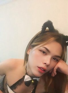 Star - Acompañantes transexual in Al Ain Photo 6 of 8