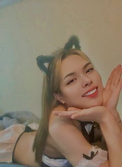 Star - Acompañantes transexual in Al Ain Photo 8 of 8