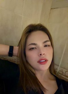 StarFilipina🇵🇭 - Transsexual escort in Al Ain Photo 8 of 10
