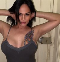 Star - Acompañantes transexual in Al Ain
